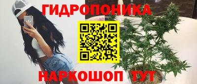 прущие грибы Изобильный