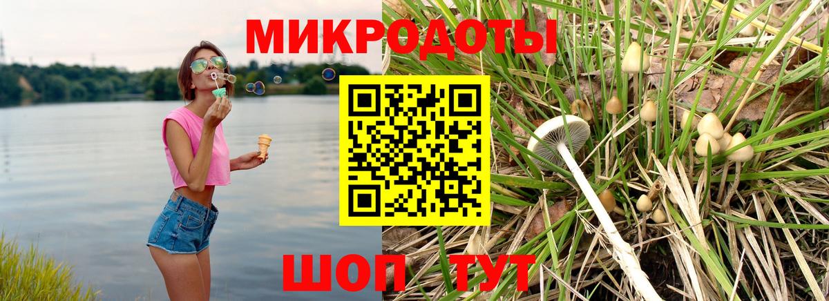 Псилоцибиновые грибы Psilocybe  Вход с VPN  Джанкой 