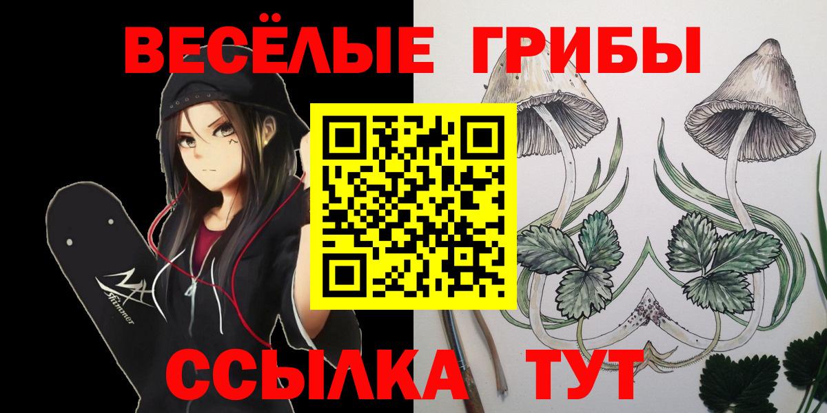 Псилоцибиновые грибы прущие грибы Джанкой